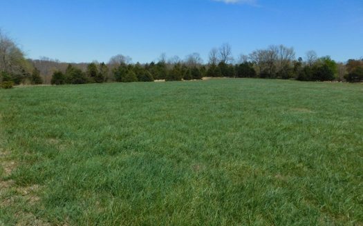 photo for a land for sale property for 03045-43540-Deer-Arkansas
