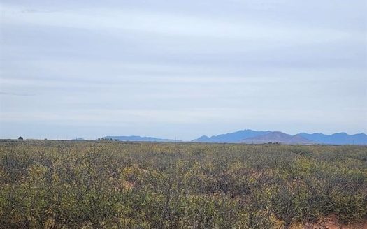 photo for a land for sale property for 30061-36141-Deming-New Mexico