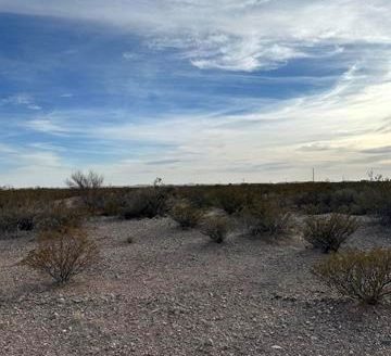 photo for a land for sale property for 30061-41277-Deming-New Mexico
