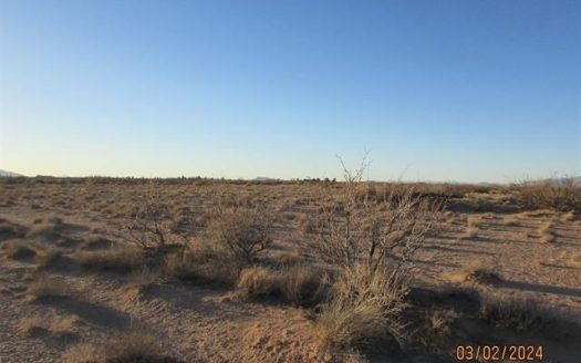 photo for a land for sale property for 30061-41595-Deming-New Mexico