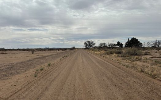 photo for a land for sale property for 30061-41802-Deming-New Mexico