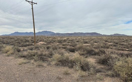 photo for a land for sale property for 30061-41803-Deming-New Mexico