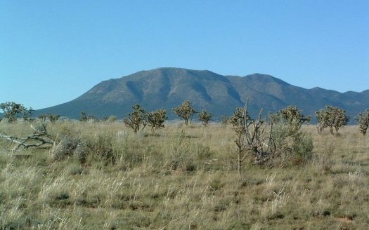 photo for a land for sale property for 30050-41644-Edgewood-New Mexico