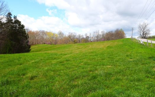 photo for a land for sale property for 16056-00981-Edmonton-Kentucky