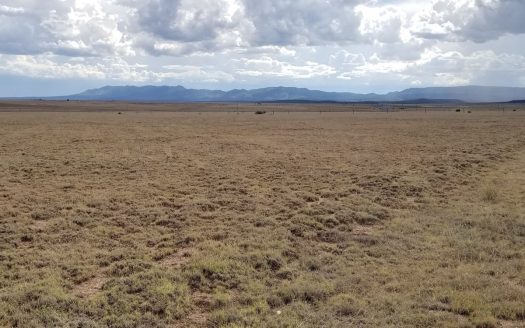 photo for a land for sale property for 30050-51466-Estancia-New Mexico