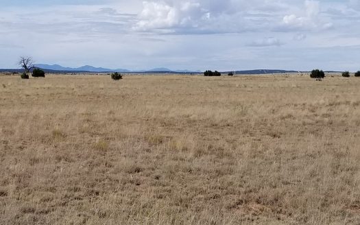 photo for a land for sale property for 30050-51842-Estancia-New Mexico