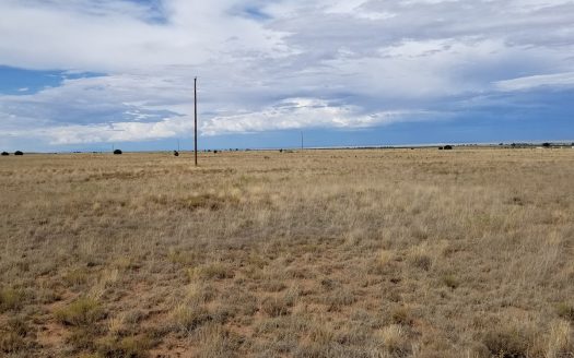 photo for a land for sale property for 30050-51885-Estancia-New Mexico