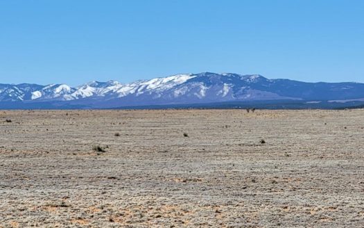 photo for a land for sale property for 30050-60065-Estancia-New Mexico