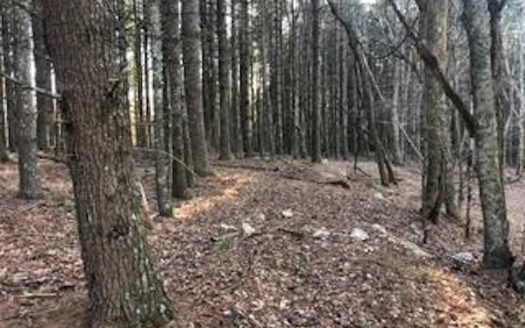 photo for a land for sale property for 45038-96277-Floyd-Virginia