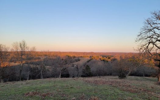 photo for a land for sale property for 24084-66040-Gainesville-Missouri