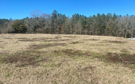 photo for a land for sale property for 01024-23002-Glenwood-Alabama