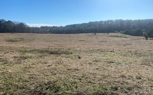 photo for a land for sale property for 01024-23003-Glenwood-Alabama