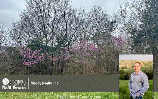 photo for a land for sale property for 03075-41974-Green Forest-Arkansas