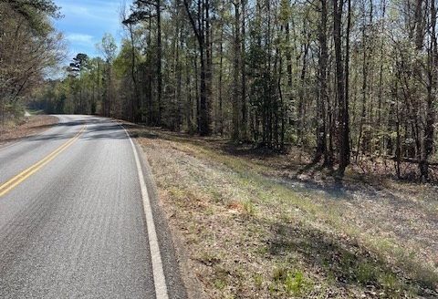 photo for a land for sale property for 01024-24026-Greenville-Alabama