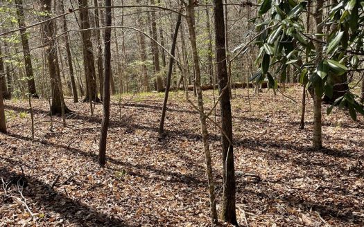 photo for a land for sale property for 01024-24027-Greenville-Alabama