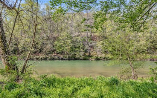 photo for a land for sale property for 41093-26405-Hohenwald-Tennessee