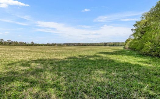 photo for a land for sale property for 41093-26410-Hohenwald-Tennessee