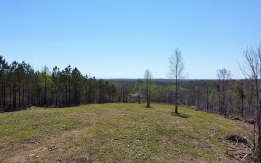 photo for a land for sale property for 41093-26487-Hohenwald-Tennessee