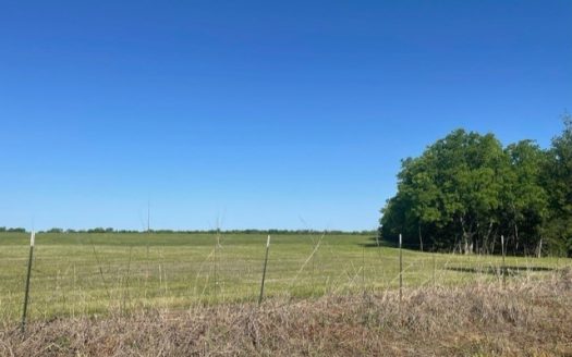 photo for a land for sale property for 42279-74774-Honey Grove-Texas