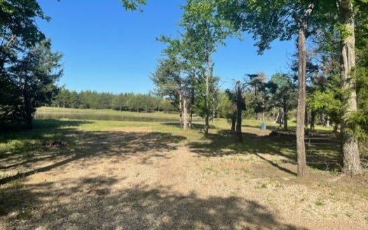 photo for a land for sale property for 42279-20583-Honey Grove-Texas