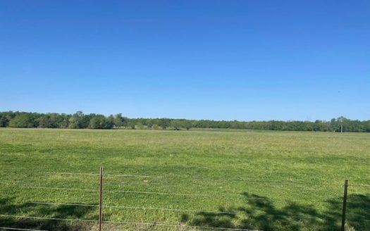 photo for a land for sale property for 42279-20589-Honey Grove-Texas