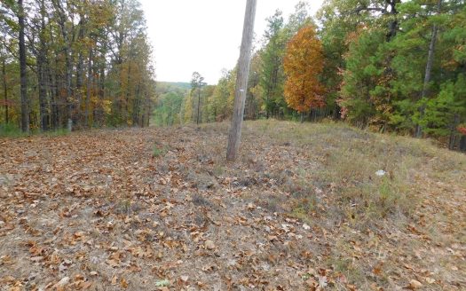 photo for a land for sale property for 03045-42810-Jasper-Arkansas