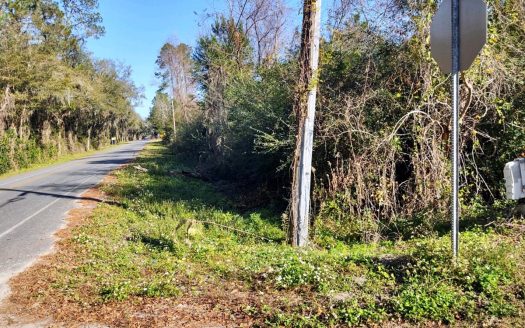 photo for a land for sale property for 09180-13790-Jasper-Florida