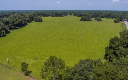 photo for a land for sale property for 09180-20787-Jasper-Florida