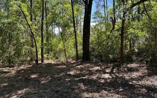 photo for a land for sale property for 09090-22932-Jennings-Florida