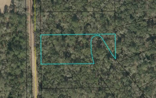 photo for a land for sale property for 09180-22312-Jennings-Florida