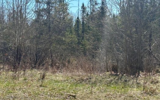 photo for a land for sale property for 21012-24015-Johannesburg-Michigan