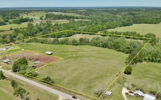 photo for a land for sale property for 01030-85630-Kinston-Alabama