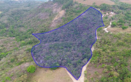 photo for a land for sale property for 60003-24052-La Laguna-Panama