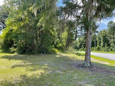 photo for a land for sale property for 09029-16521-Lake City-Florida
