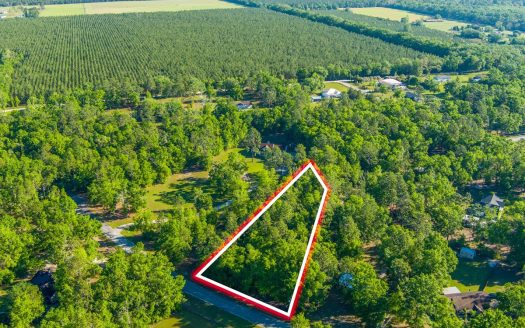 photo for a land for sale property for 09090-21019-Lee-Florida