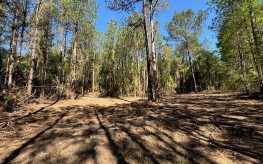 photo for a land for sale property for 23042-41196-Liberty-Mississippi