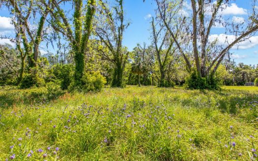 photo for a land for sale property for 09090-23077-Live Oak-Florida