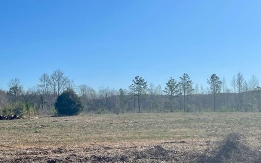 photo for a land for sale property for 01024-24021-Luverne-Alabama