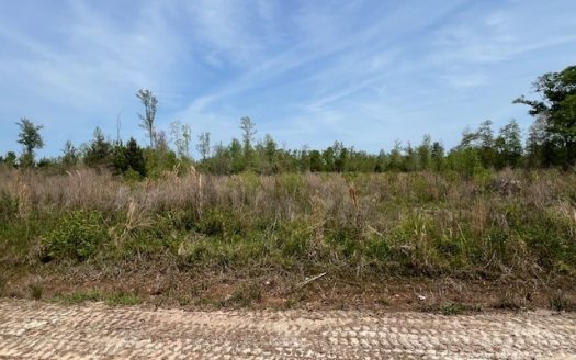 photo for a land for sale property for 01024-24023-Luverne-Alabama
