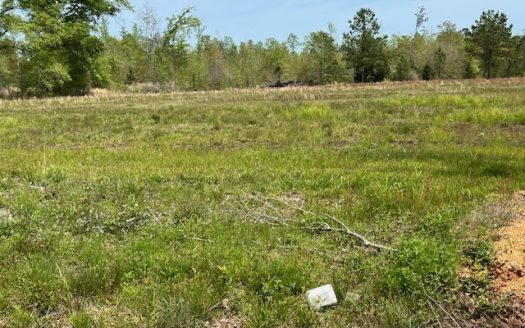 photo for a land for sale property for 01024-24024-Luverne-Alabama