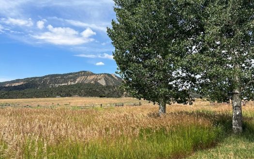 photo for a land for sale property for 05099-40756-Mancos-Colorado