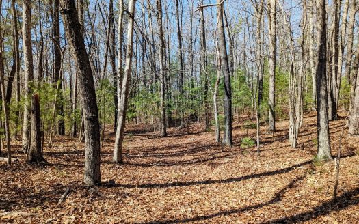 photo for a land for sale property for 45038-96745-Max Meadows-Virginia