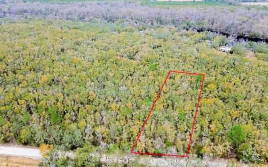 photo for a land for sale property for 09090-22996-Mayo-Florida