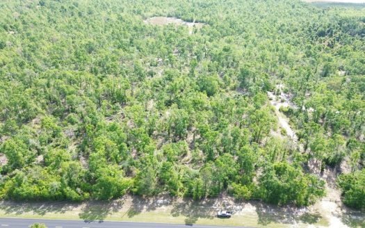 photo for a land for sale property for 09090-23105-Mayo-Florida