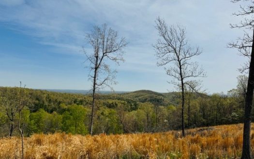 photo for a land for sale property for 03061-60940-Melbourne-Arkansas