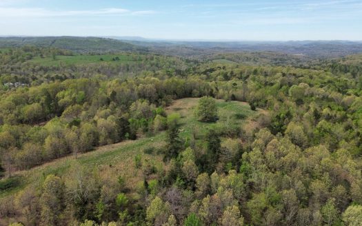 photo for a land for sale property for 03061-61350-Melbourne-Arkansas