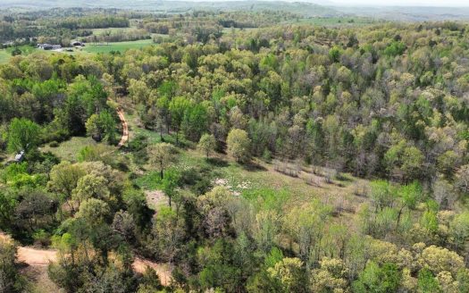 photo for a land for sale property for 03061-61360-Melbourne-Arkansas