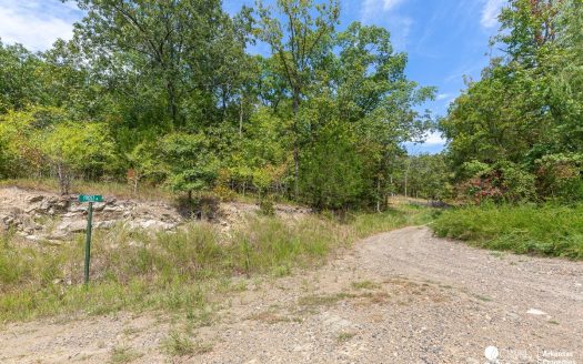 photo for a land for sale property for 03029-28900-Mena-Arkansas