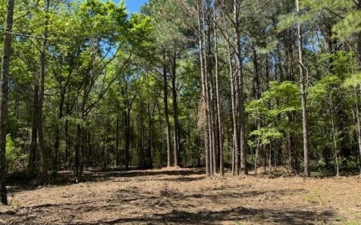 photo for a land for sale property for 42251-09034-Mount Pleasant-Texas