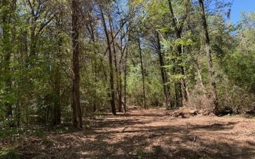 photo for a land for sale property for 42251-09036-Mount Pleasant-Texas